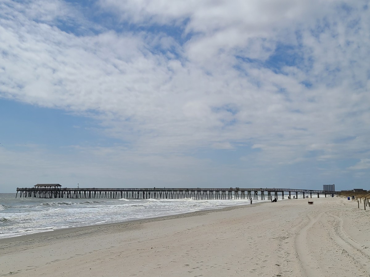 Perfectly Imperfect: Myrtle Beach State Park (Myrtle Beach, South&nbsp;Carolina)